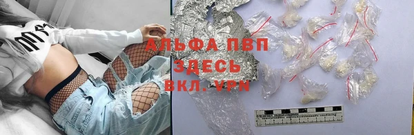 сатива Верея