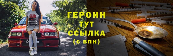молекула духа Тайга