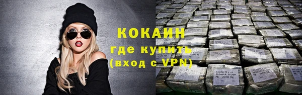 сатива Верея