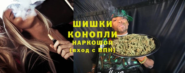 сатива Верея